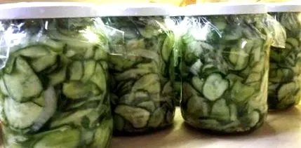 месеци зимните