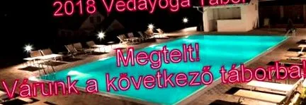 ведайога лагер