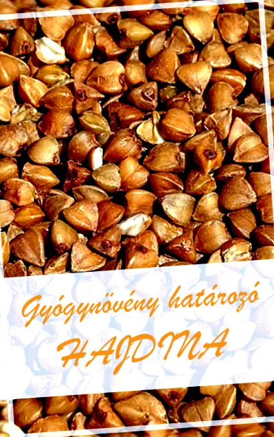абонамент бюлетин