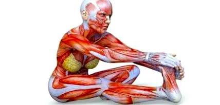 întindere exerciții