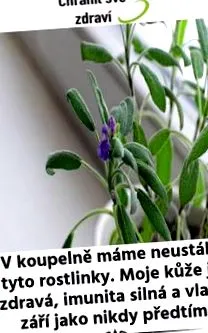 arde pentru