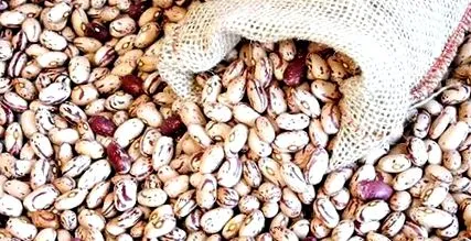 отслабнете calabash