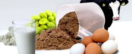 чувствителните чувствителните