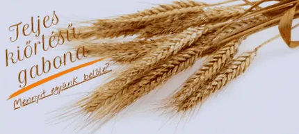 grâu integral integrale