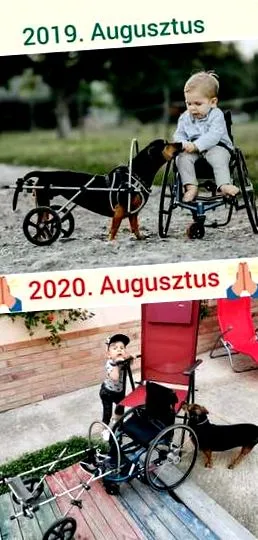 деца водят