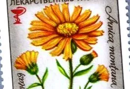 ghid sănătate