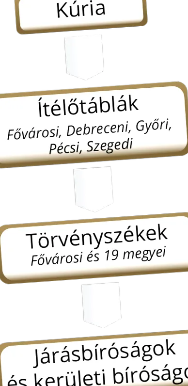 sistemul judiciară