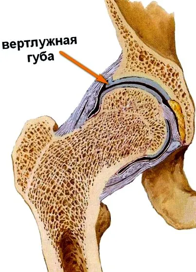 чому пошкодження