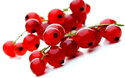 Health Femina Health Femina
