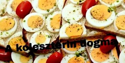догма холестерола