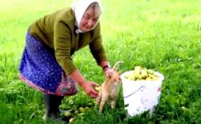 бабусі моєї
