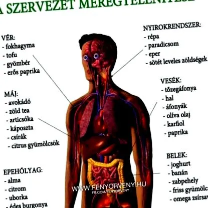 oncologie