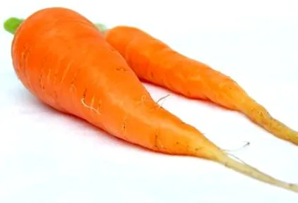 ajută morcovii
