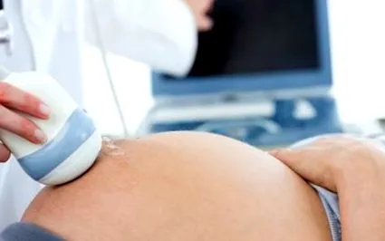 amniotic este amniotic este