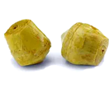 mediterran