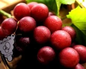 плодове най-драгоценни