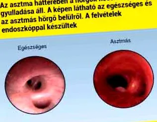 дитини моєї