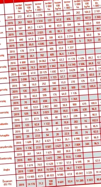 стопанство стопанство