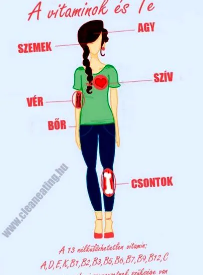 чисто хранене