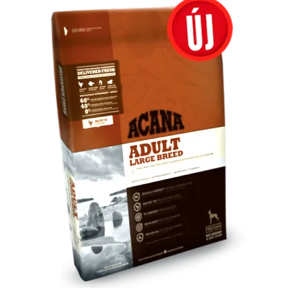 adult adult