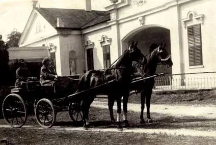 1884 мадараш