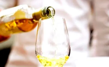 vinurile