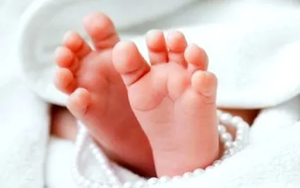родил родил