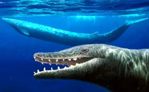 basilosaurus basilosaurus