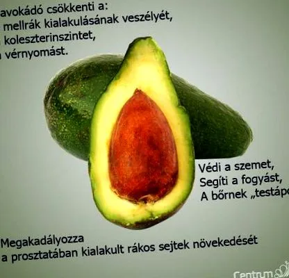 lucra aveți Program lucru