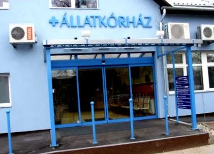 болница животни