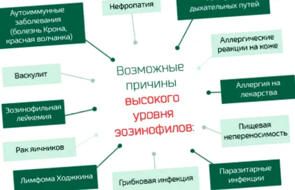 кръвта