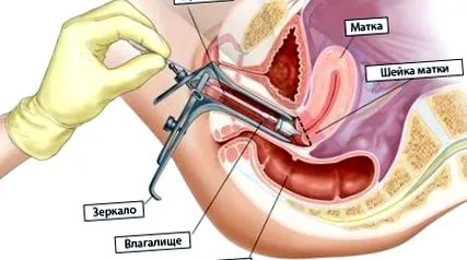 също мъжете