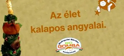 vieții vieții