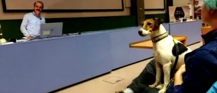 сімейних
