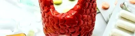 хондрозахисних найбільш
