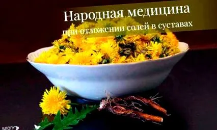ставите ставите