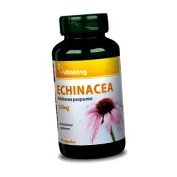 echinacea