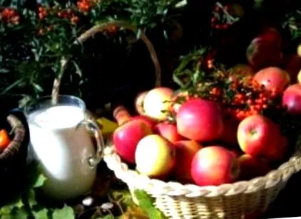 vitaminei împotriva