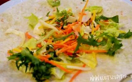 pui-legume rulouri