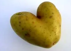 слънчева