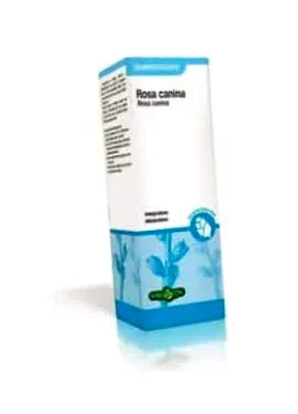 erba