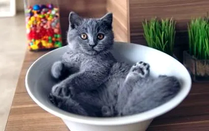 много много