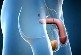 sănătate menopauza