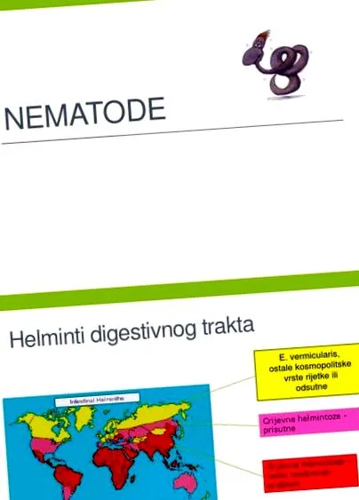 paraziților patologia