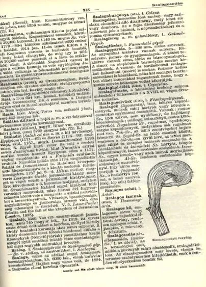 червеи червеи