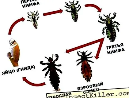 усещания червеи