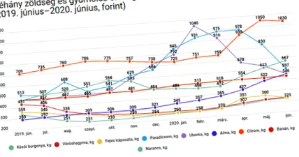 rapidă rapidă