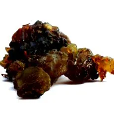 guggulipid вещества