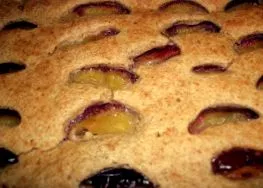 prune prune