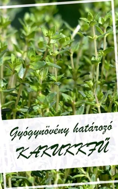 проти трава